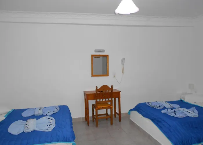 Pet friendly Studios Apartments Kapetanios Perissa 